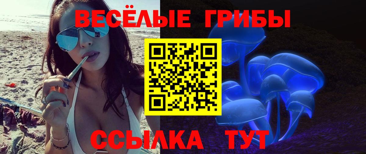 купить наркотики сайты  Вход с VPN  Бор  Галлюциногенные грибы Magic Shrooms 
