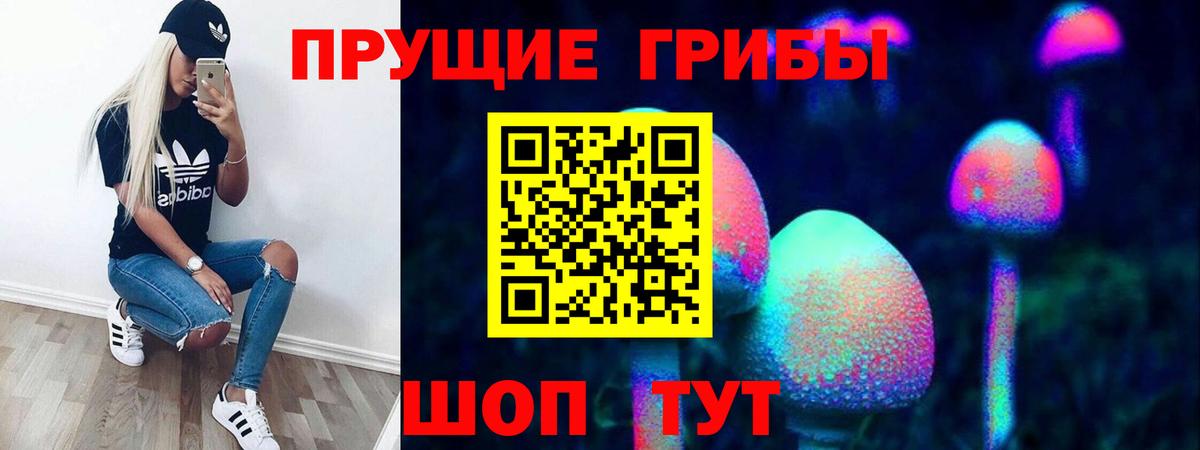 Галлюциногенные грибы GOLDEN TEACHER Бор