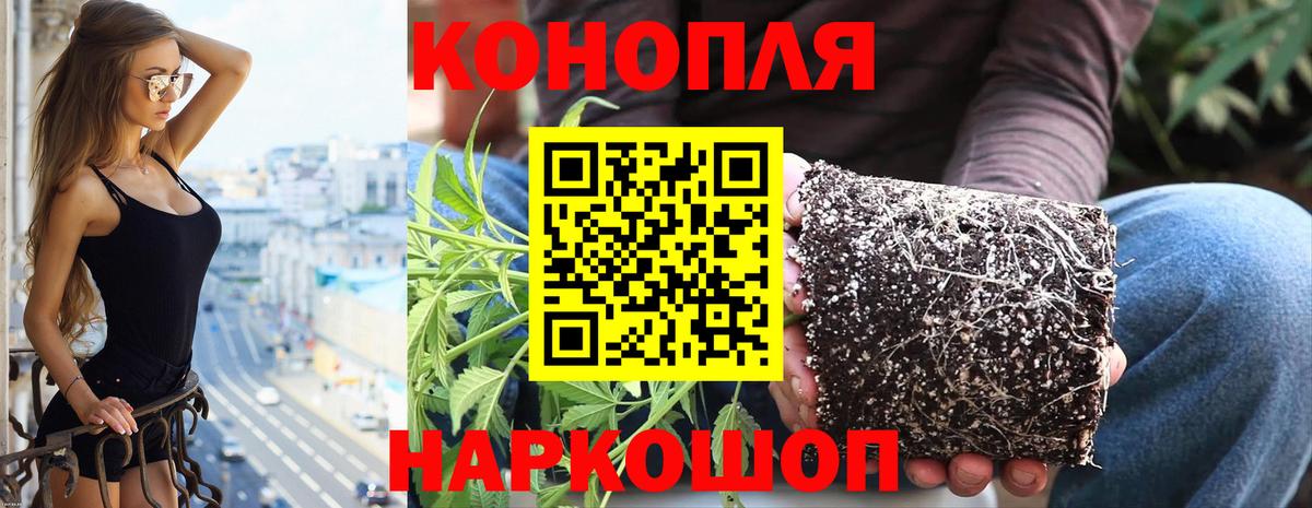 Бор  Бошки марихуана AK-47  Конопля семена  Шишки марихуана тримм  Вход с VPN  Шишки марихуана SATIVA & INDICA 